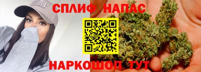 СК Заводоуковск