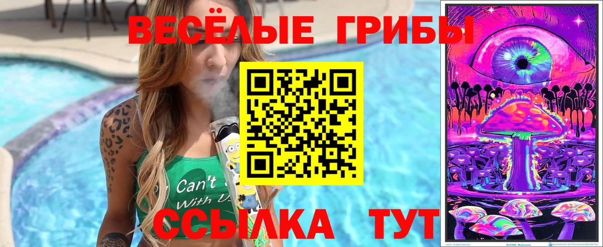 Бирск  где купить наркоту  Вход с VPN  Галлюциногенные грибы Magic Shrooms 